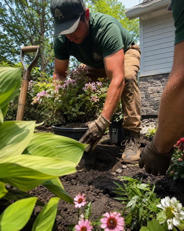 Landscaping crew working on a lawn